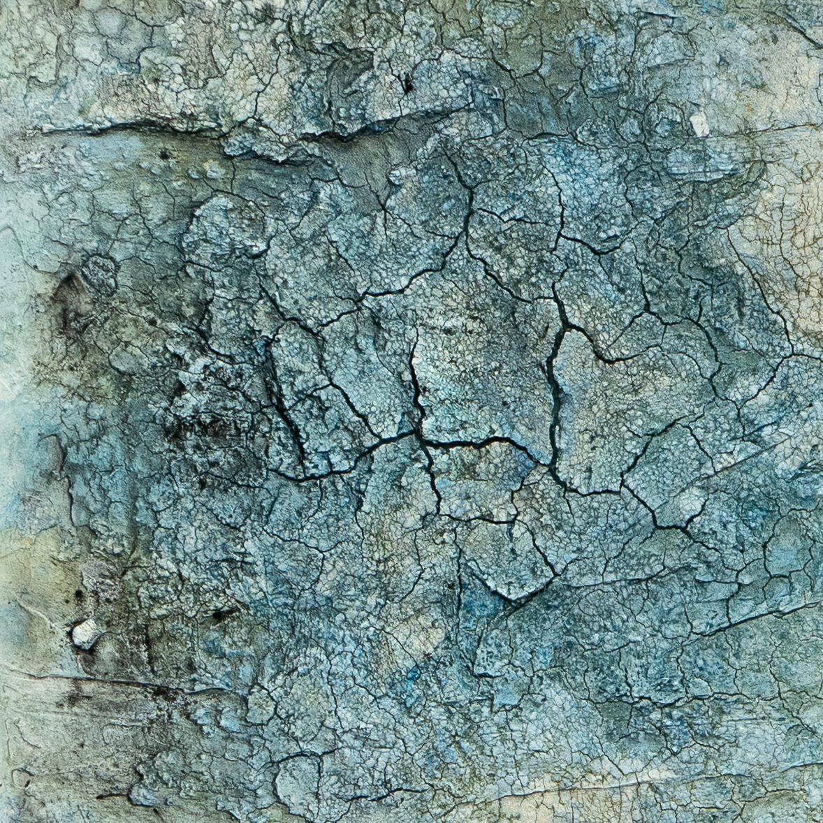 Mehr über den Artikel erfahren Klenk Inge